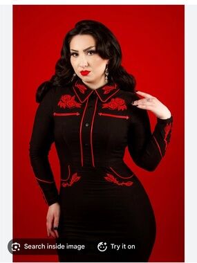 Black Fitted Dress with Red Rose Embroidery